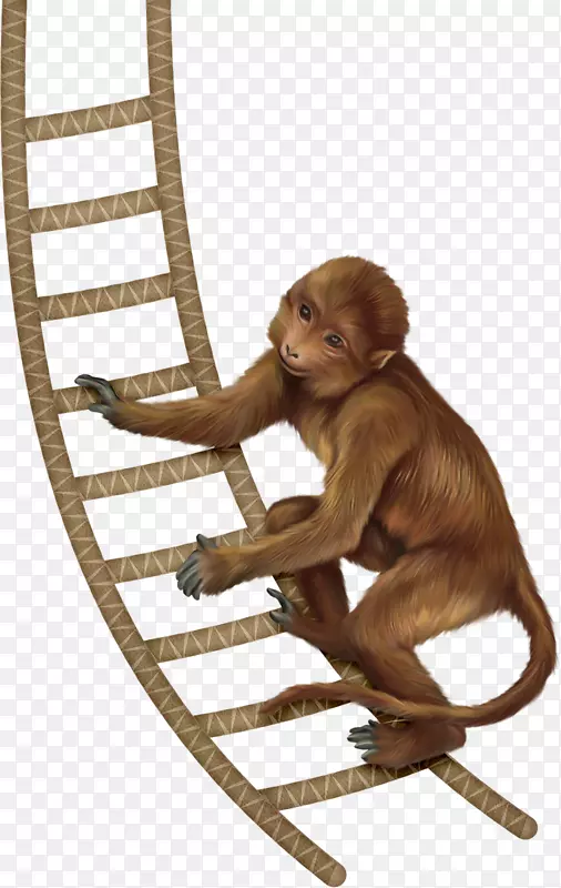 卡通爬梯猴子