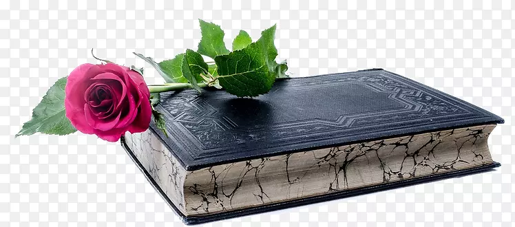玫瑰花与书装饰素材