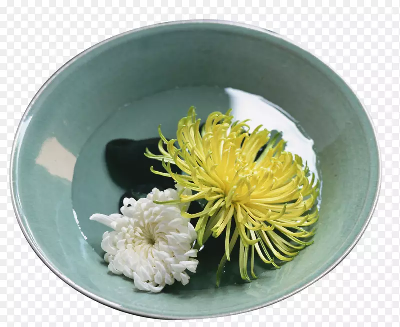 碗里的菊花
