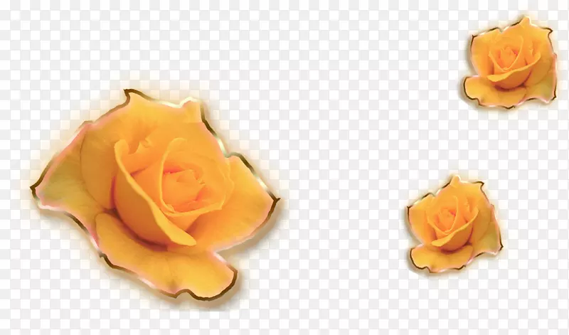 3D玫瑰花