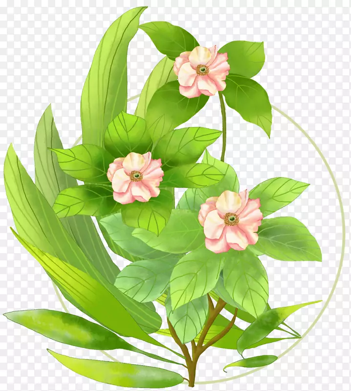 手绘装饰小清新植物花卉素材PNG图片素材下载_图片编号7620508-PNG素材网