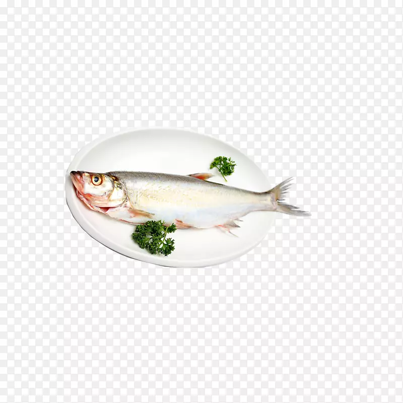 碗里白鲢鱼图下载