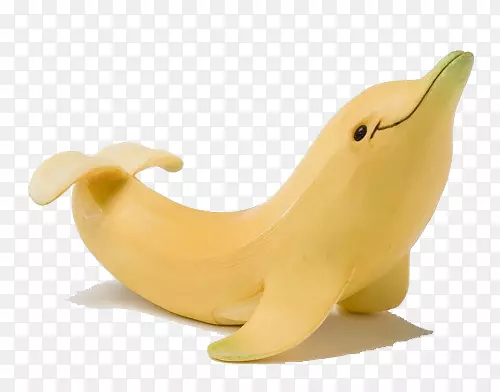 香蕉海豚