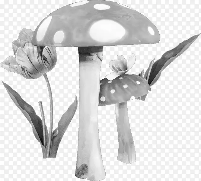 灰色蘑菇