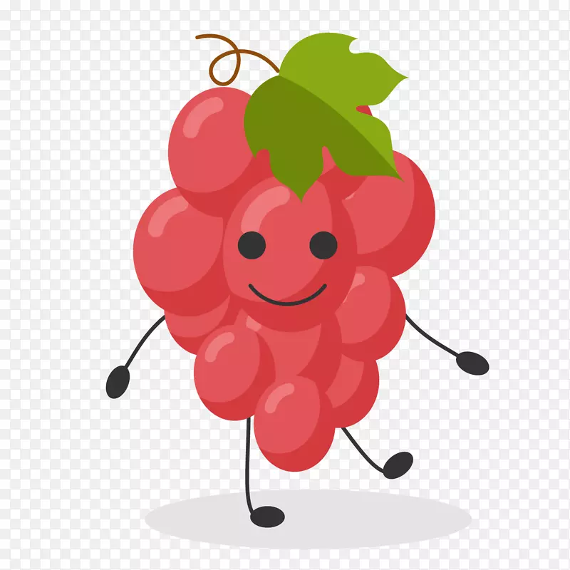 红色葡萄水果矢量图