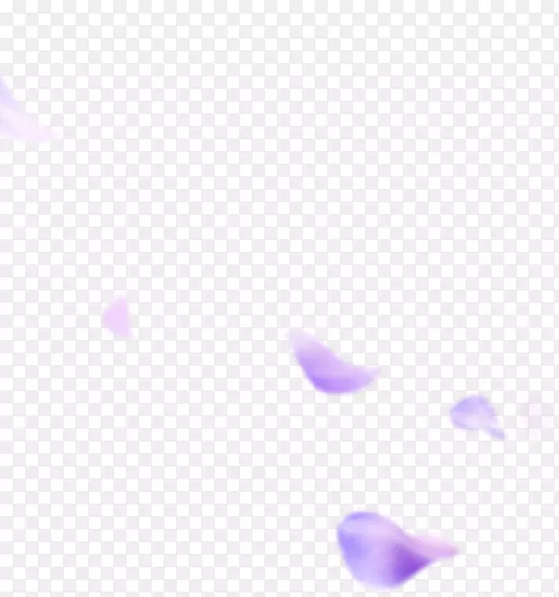 紫色花瓣飘落