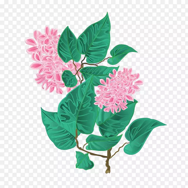 手绘一枝粉色丁香花植物插画PNG