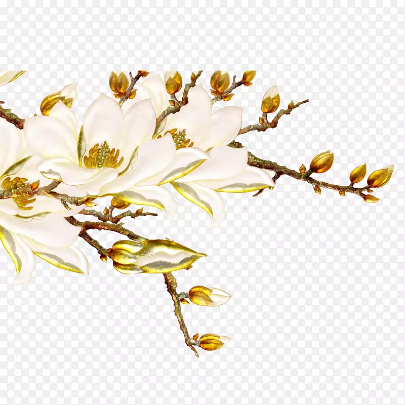 花枝PNG图片素材下载_图片编号7626619-PNG素材网