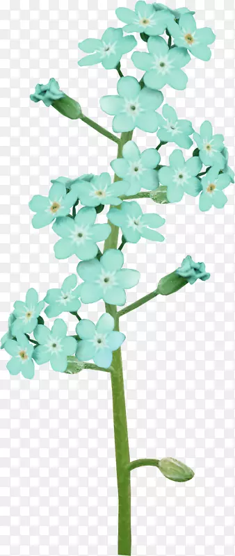 淡蓝色花朵