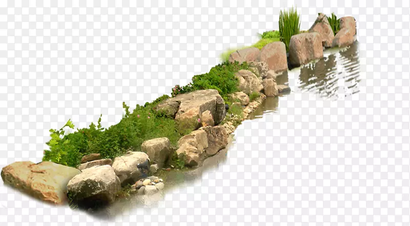 河边石头植物装饰