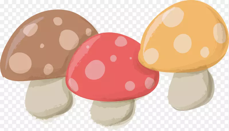 野生的彩色蘑菇