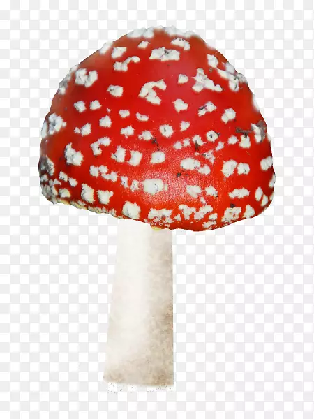 高清摄影颜色鲜艳的蘑菇红色