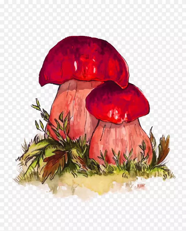 矢量水彩手绘蘑菇