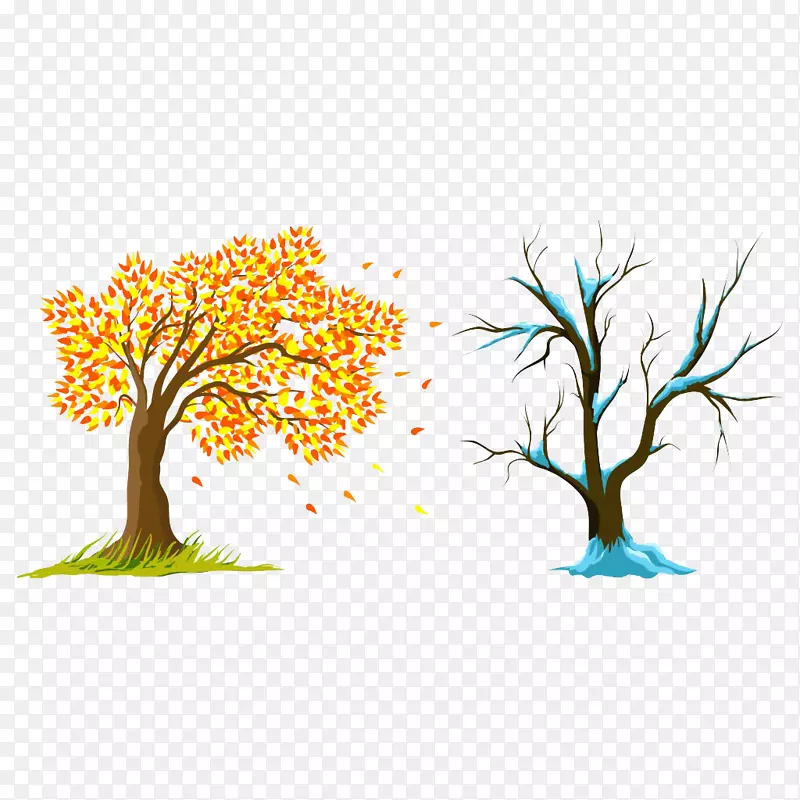 手绘秋天和冬天的树