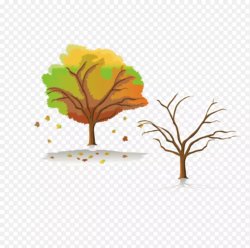 秋天的树和冬天的树