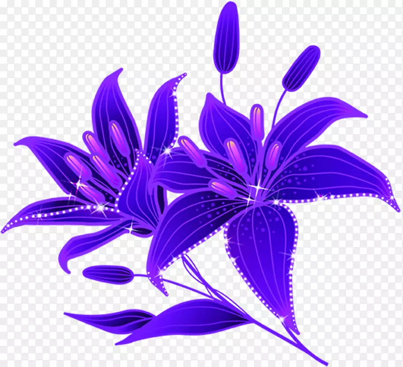 手绘质感合成紫色的罗兰花