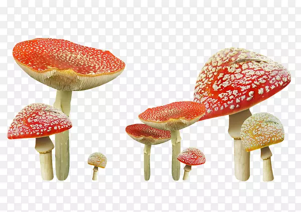 可爱蘑菇素材