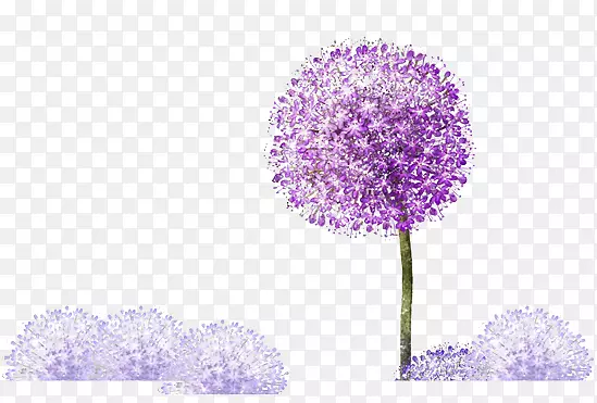 紫色的蒲公英素材图片