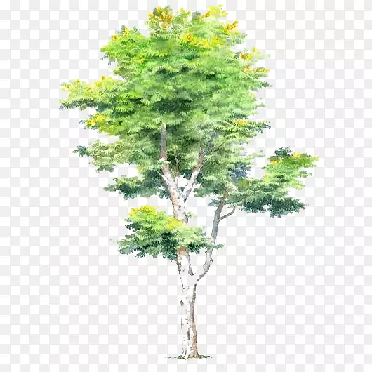 手绘树木元素绿色树木PNG图片素材下载_图片编号7635994-PNG素材网