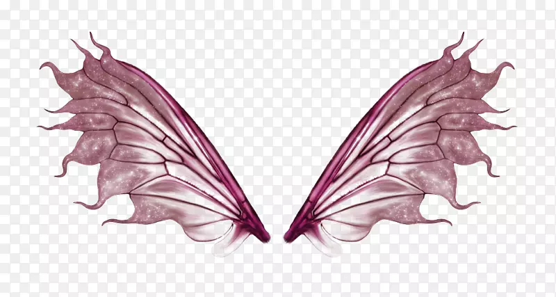 粉色的半透明翅膀