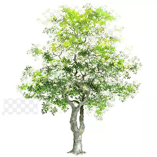 树木背景图片手绘树木素材PNG图片素材下载_图片编号7635988-PNG素材网