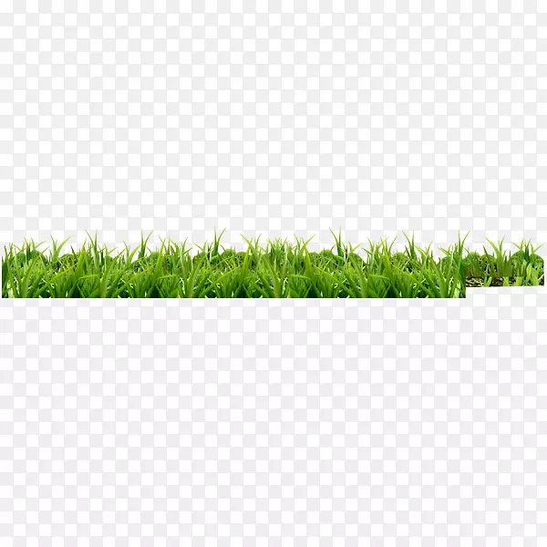 绿色草地免抠元素