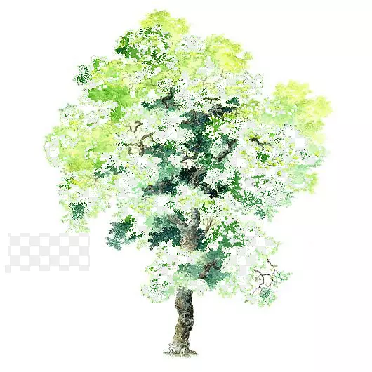 绿色树木素材手绘树木