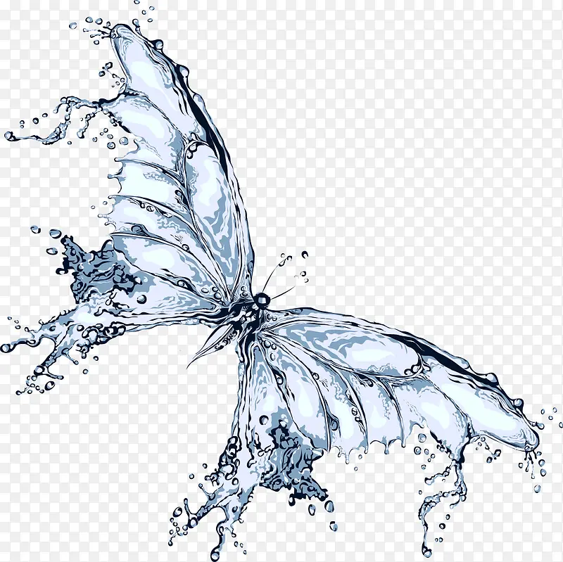蝴蝶 蓝色 喷溅 矢量 水滴 