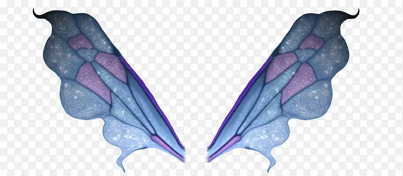 漂亮的星纹蝴蝶翅膀