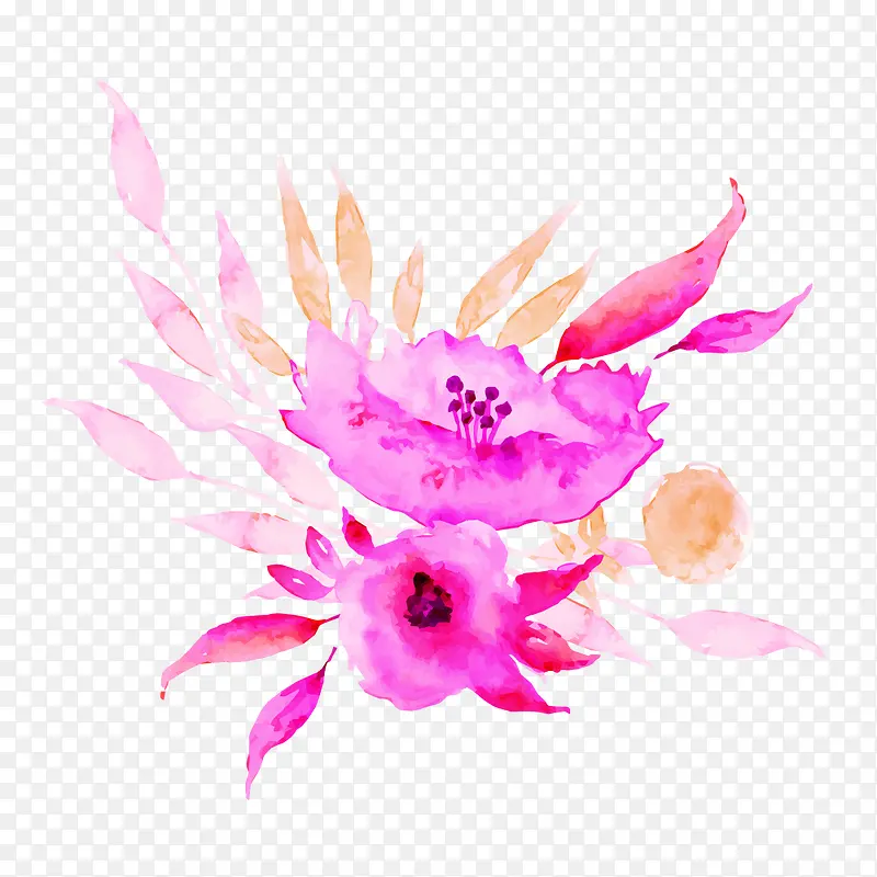 粉色水彩植物花朵设计插画