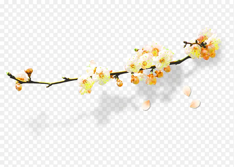 精致金色的梅花免抠图PNG图片素材下载_图片编号7641801-PNG素材网