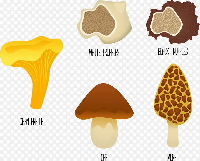 矢量图几种蘑菇