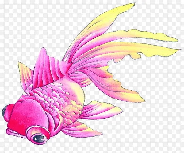 粉色金鱼
