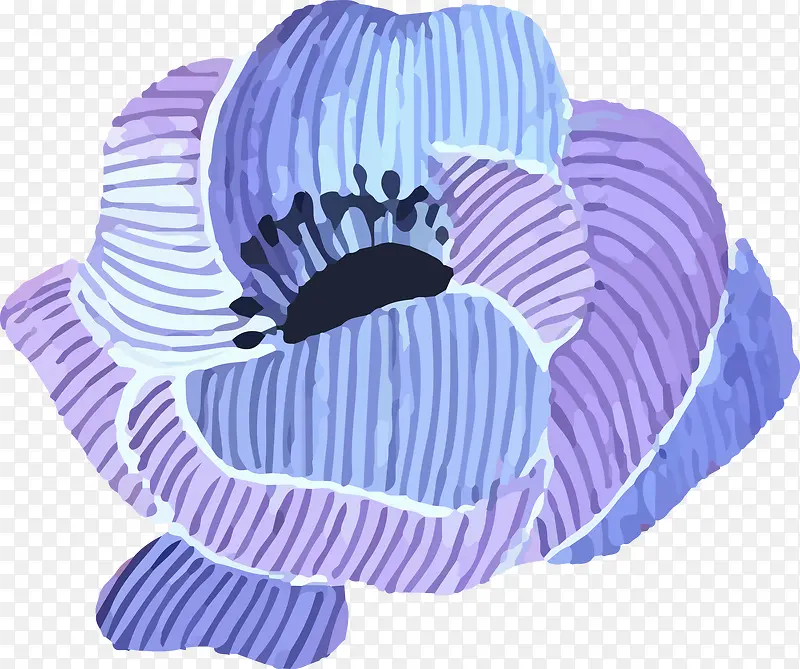 蓝紫相间花朵