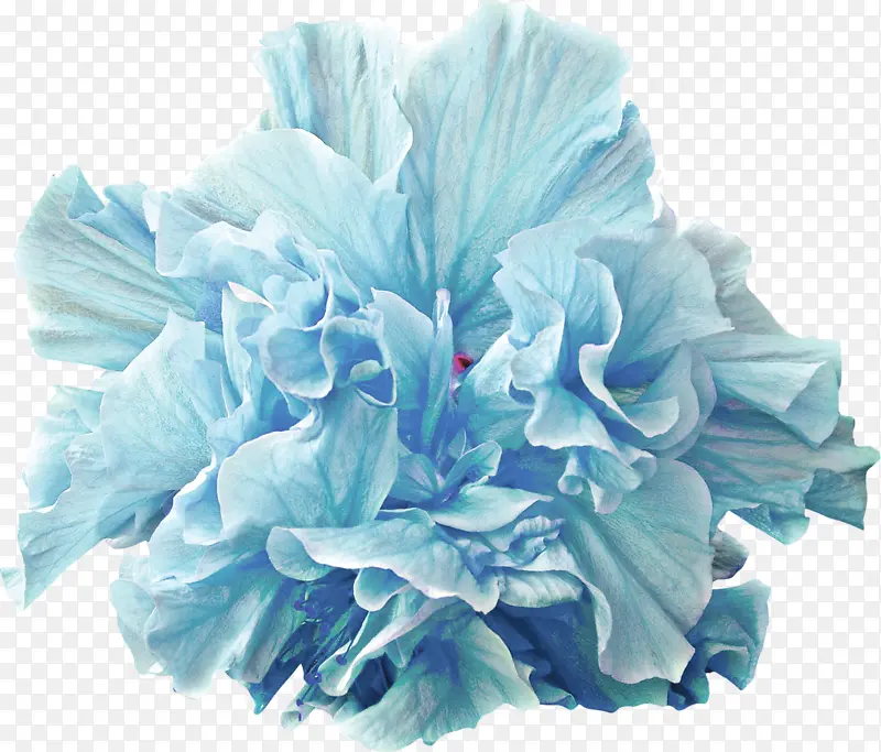 青蓝色鲜花