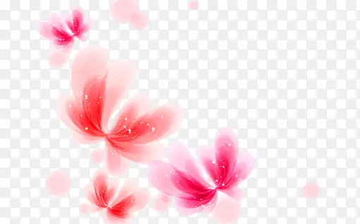 粉红色美丽的莲花