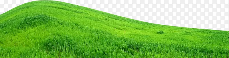 唯美山丘一片绿色草地