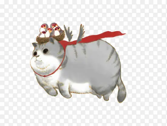 会飞的猫