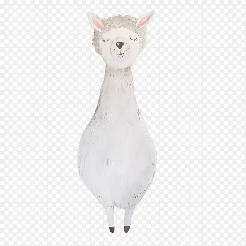 可爱白色绵羊手绘水彩小清新动物