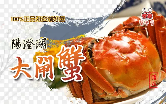 阳澄湖美味大闸蟹