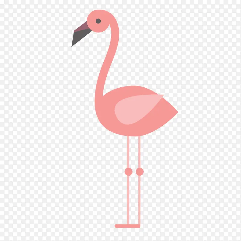 卡通扁平化粉红色的鸟类动物