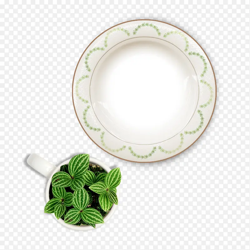 欧式花纹盘子杯子里的绿植