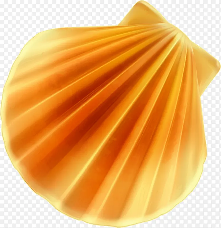矢量黄色扇子贝壳