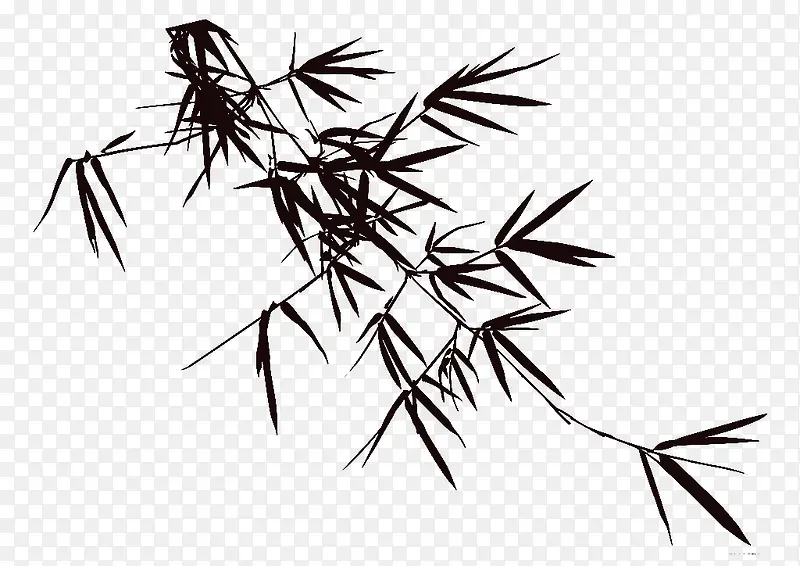 卡通黑色线条植物竹子