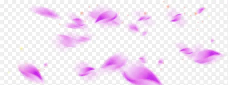 紫色的花瓣漫天飞舞