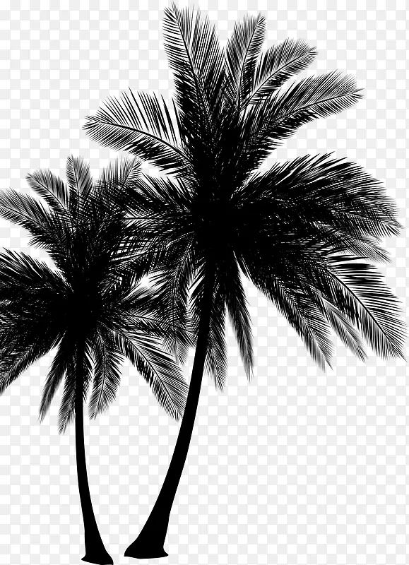 高清海边手绘绘画椰子树