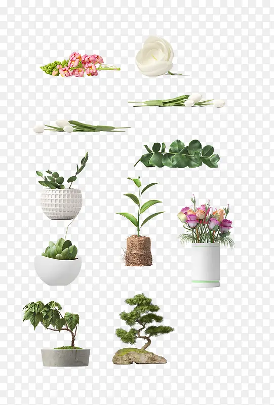 植被花盆