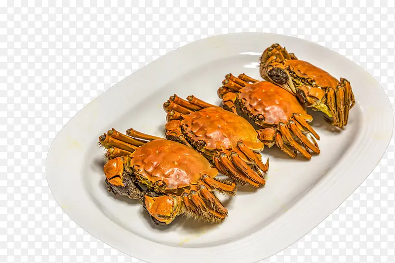盘子里4只整齐的螃蟹
