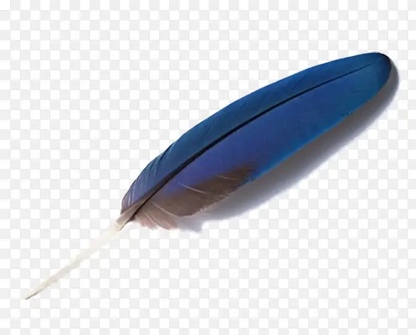 蓝色的羽毛素材图片