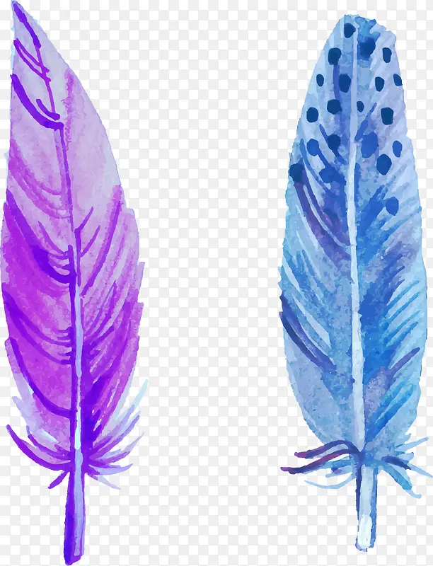 蓝紫色羽毛图案